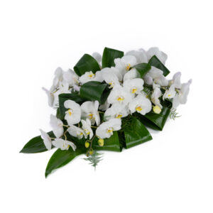 Rouwarrangement Orchidee Wit